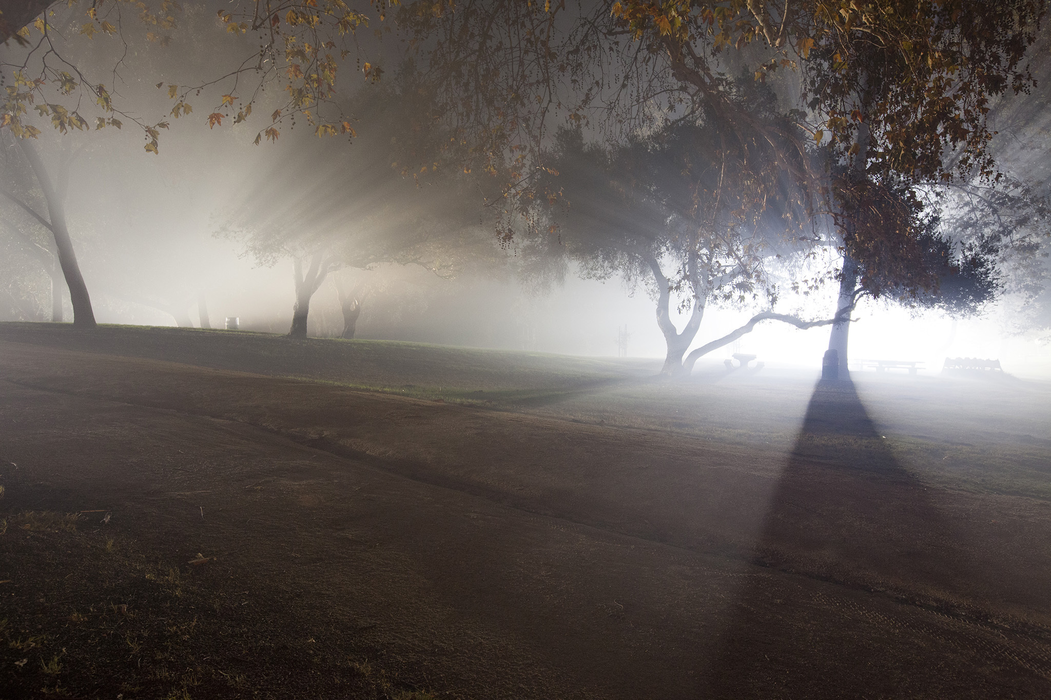 An atmospheric image of a haunted house reminiscent of the described ghostly imagery from the Manor story.