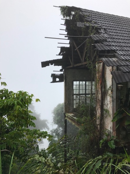 Eerie view of nature at Bukit Fraser hinting paranormal activity