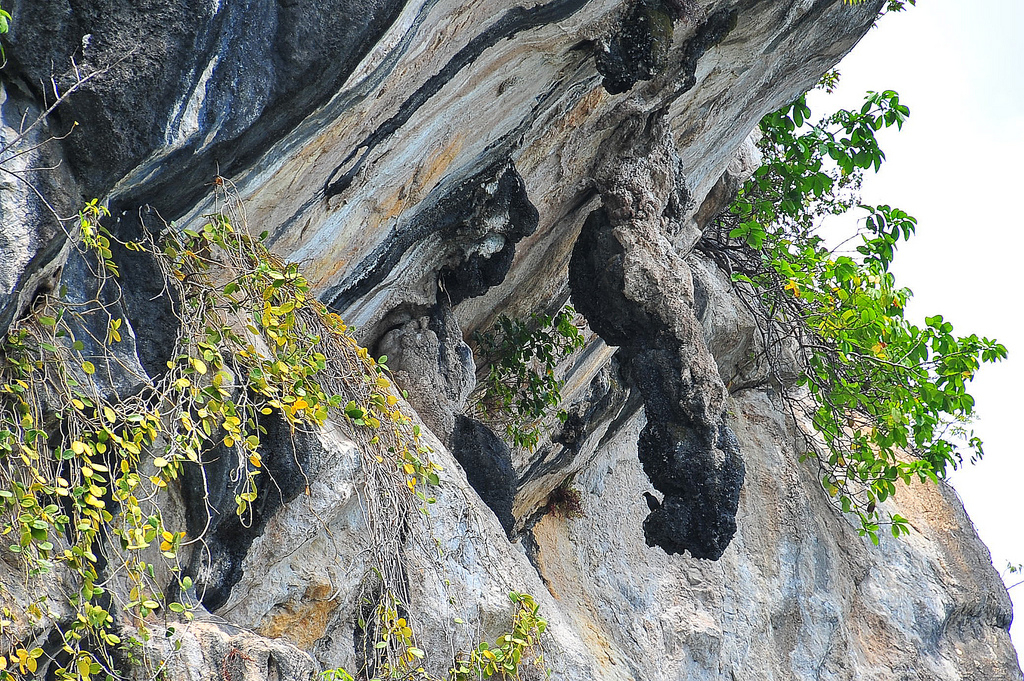 An eerie jungle setting that evokes the mystical nature of the Hantu Batu.