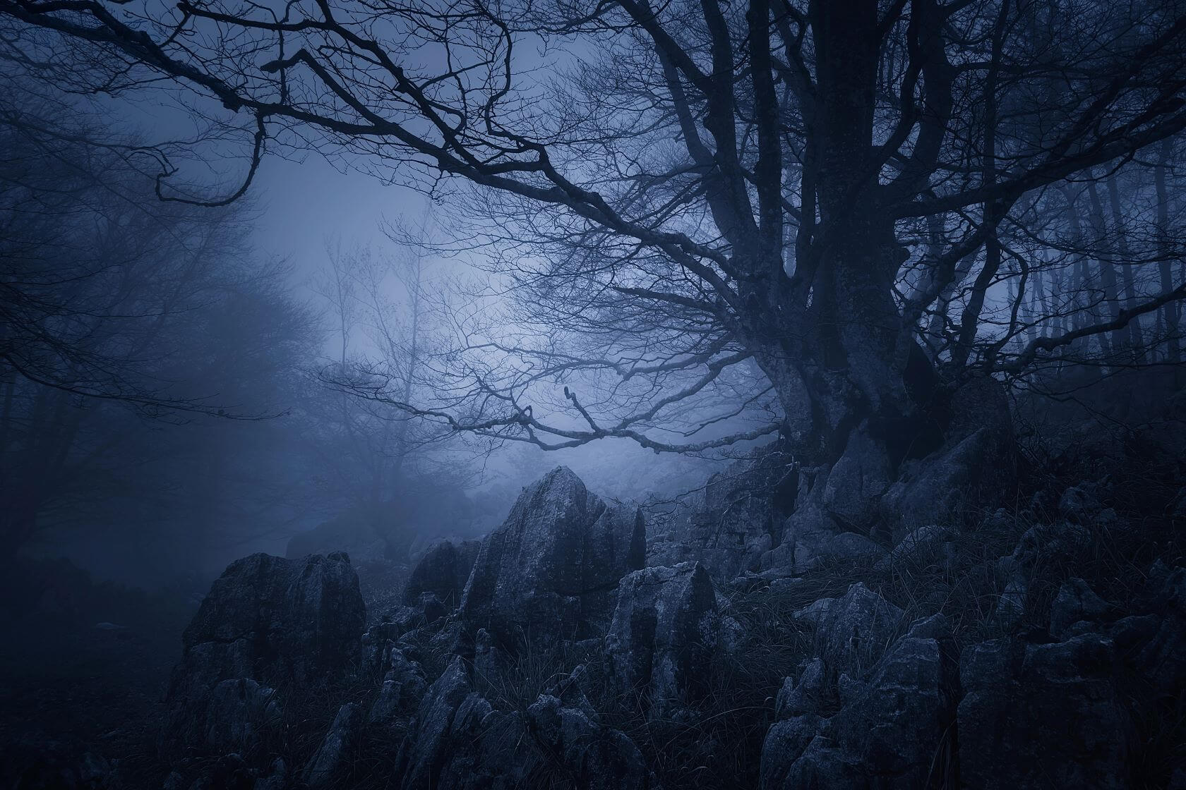 An eerie scene depicting the haunted forest that surrounds army camps in Southeast Asia