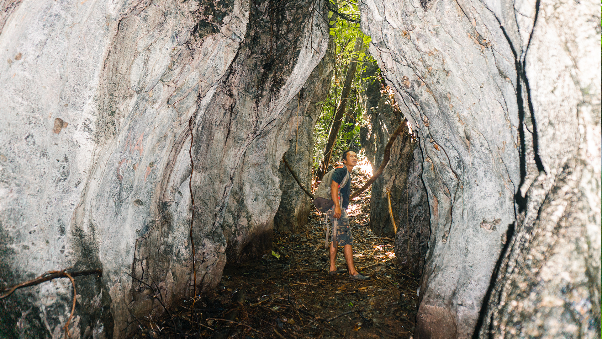 A rocky jungle landscape that conveys the spirit realm context of the jungle.