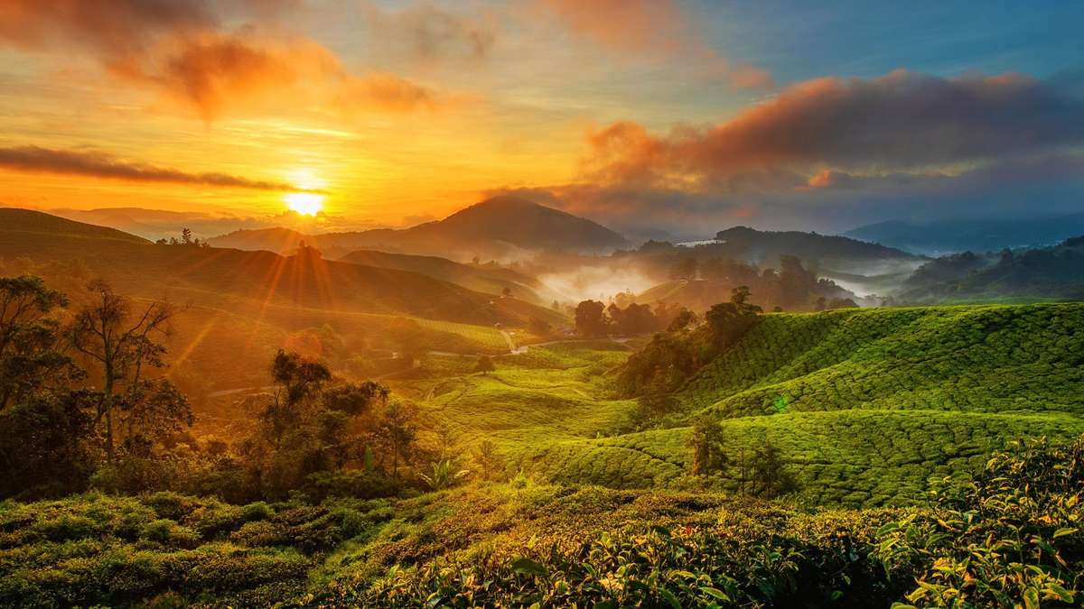 Scenic view of Bukit Fraser capturing its mystique atmosphere