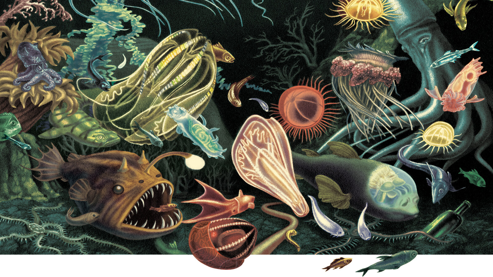 A multitude of deep-sea creatures illustrating the exploration and hidden life in the ocean depths.