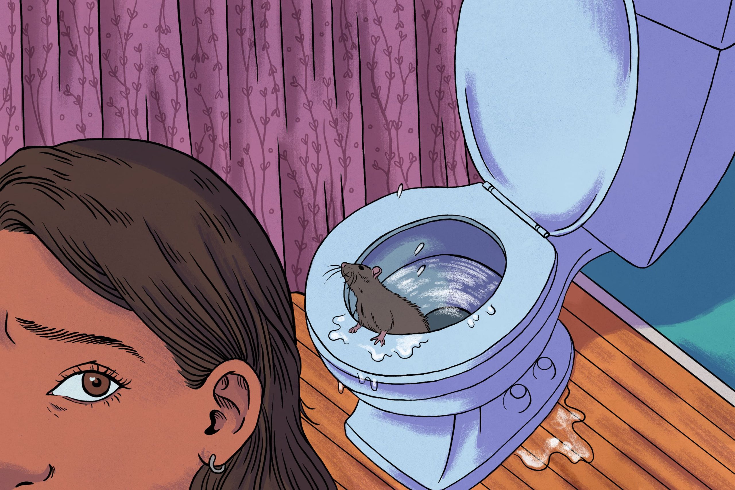 An illustrative representation of the urban legend "Rats in the Toilet Bowl."