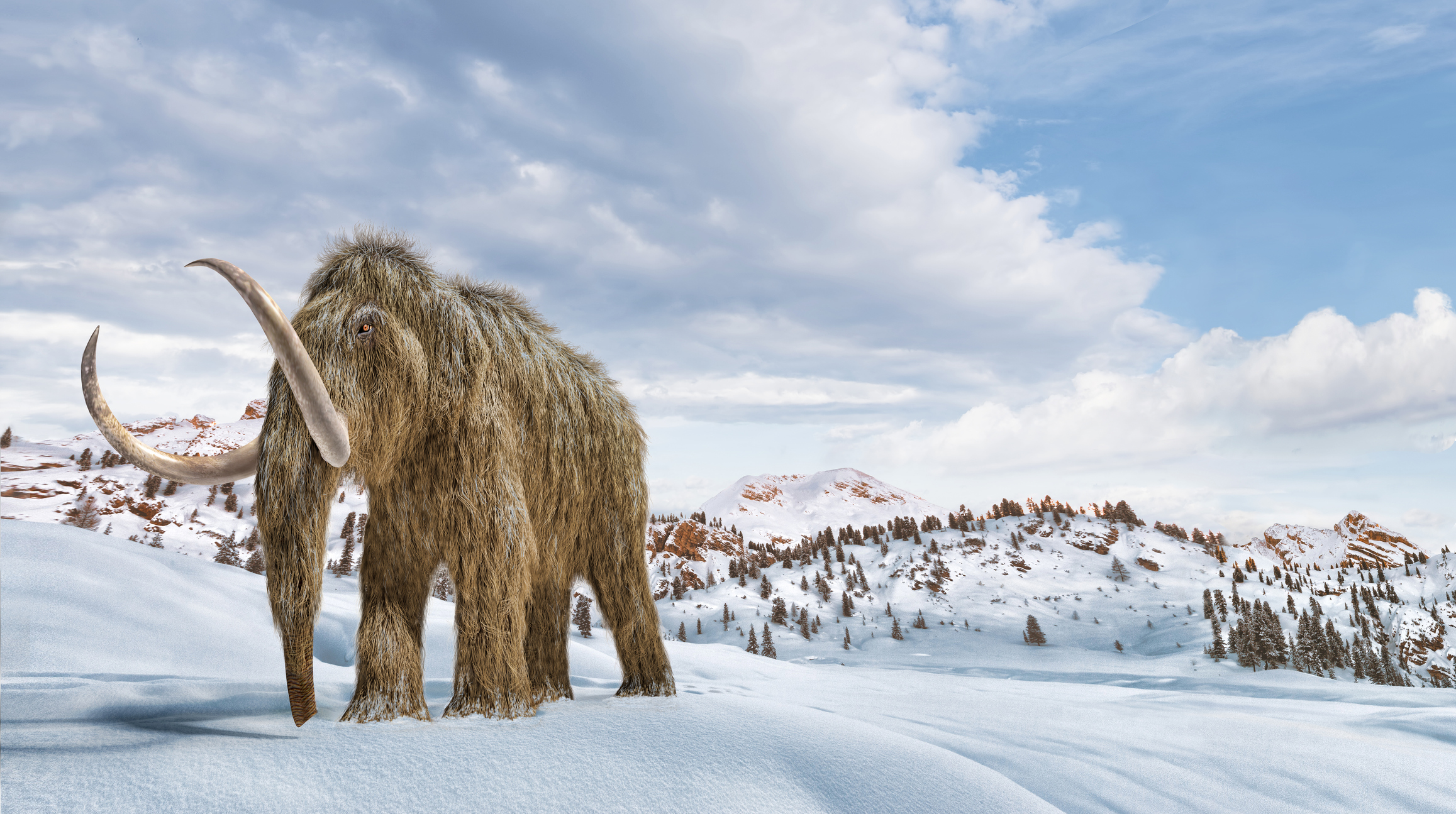 Artistic depiction of woolly mammoths in their natural habitat