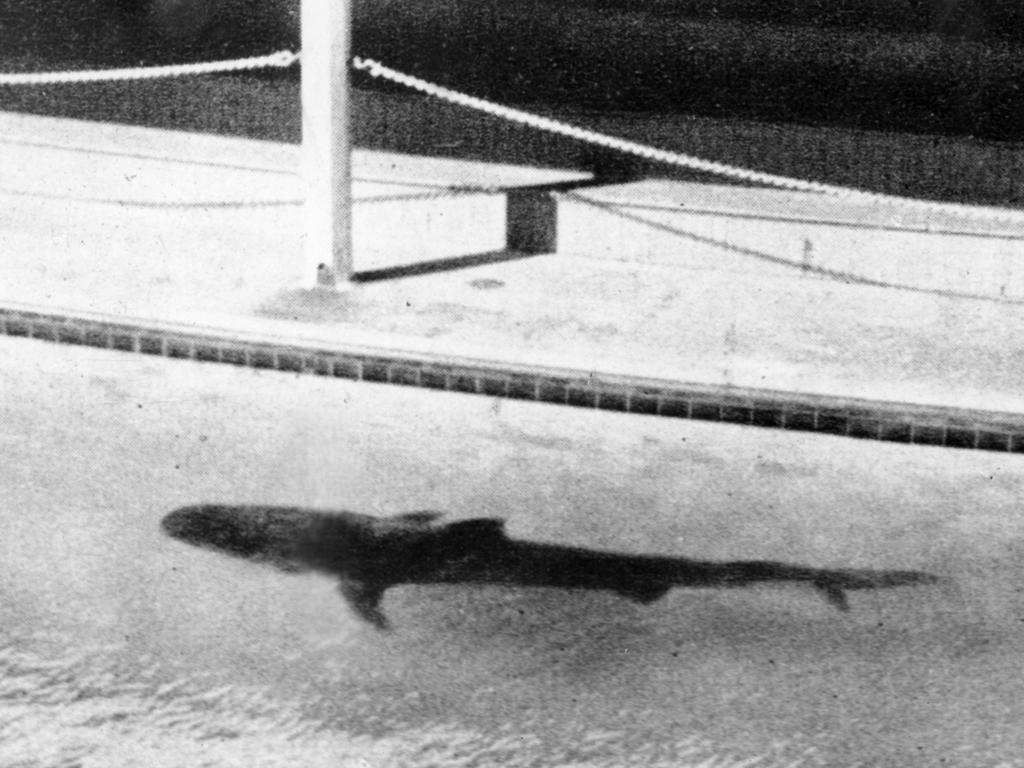 Shark Arm murders: Jimmy Smith death a Sydney mystery