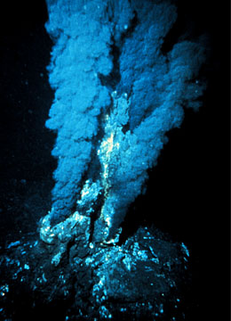 Hydrothermal Vents