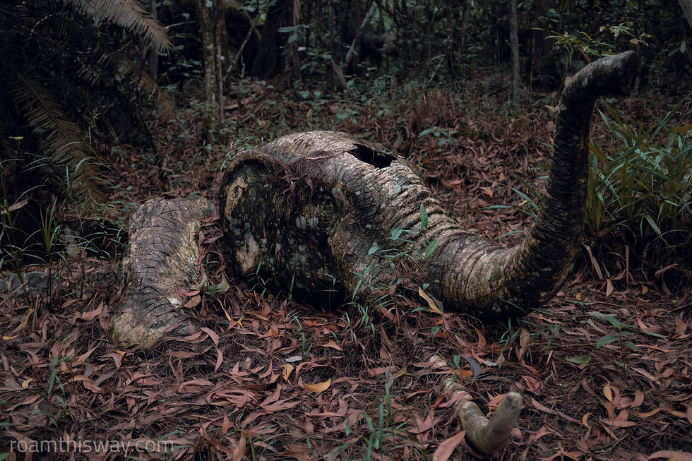 Malaysian Ghost Town Series - Mimaland