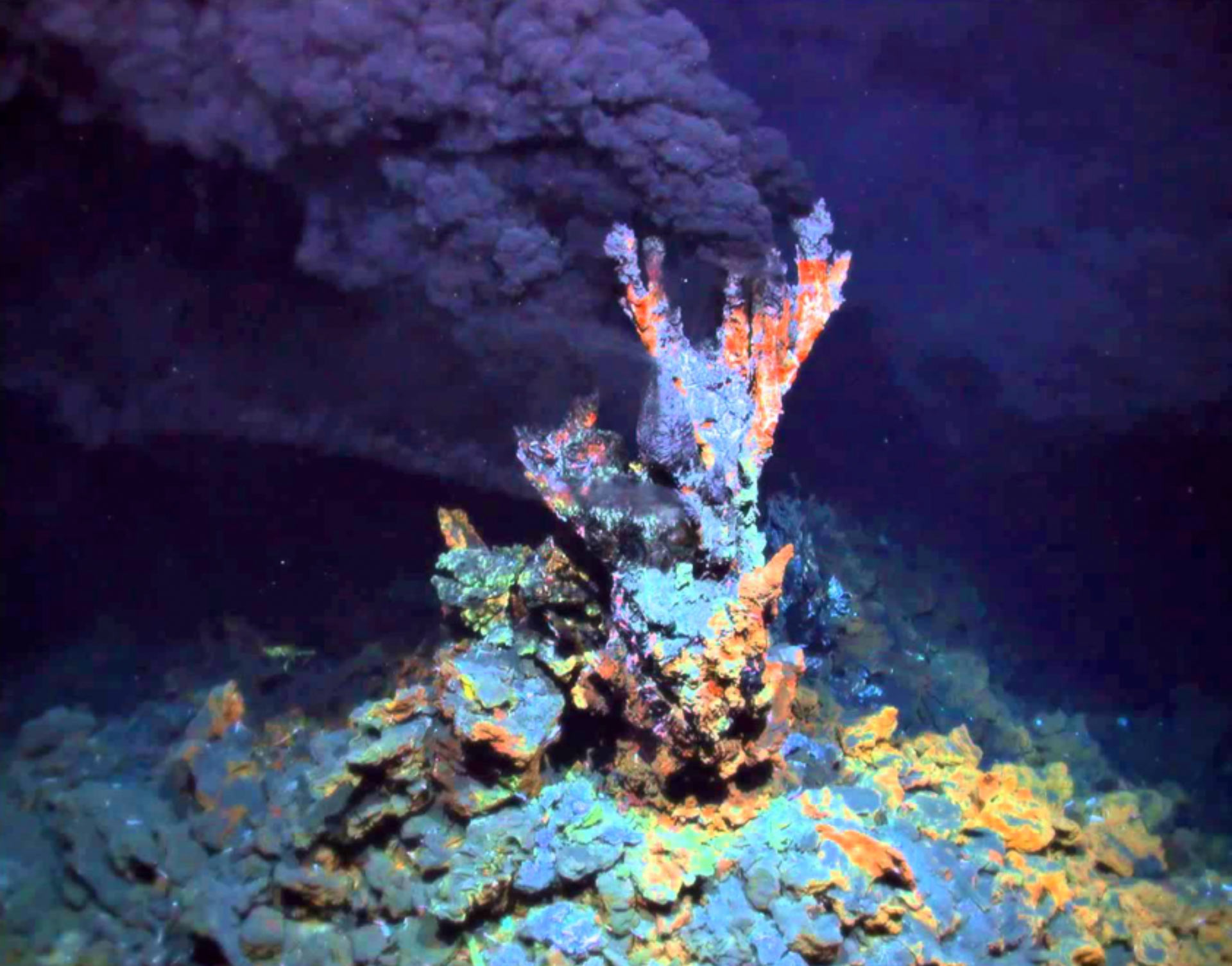 Life Originated in Hydrothermal Vents, New Study Suggests