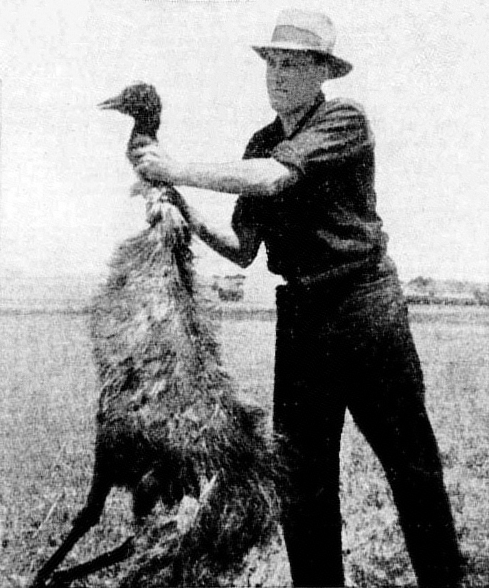 Deceased emu during the war