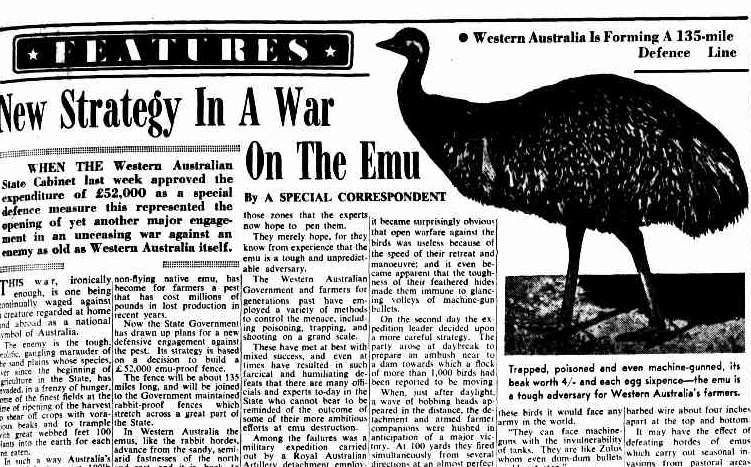 The Great Emu War Of 1932