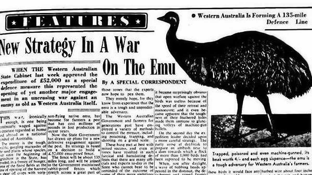 Newspaper article about the Emu War