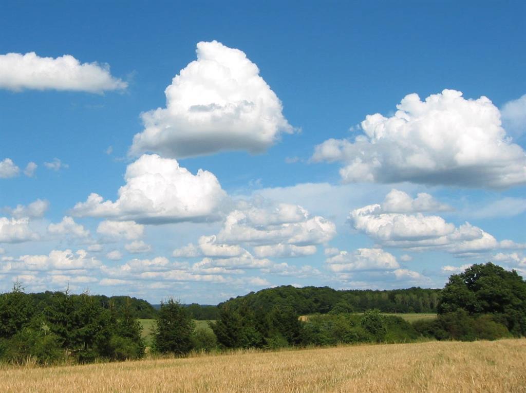 Life Cycle of a Cumulus Cloud