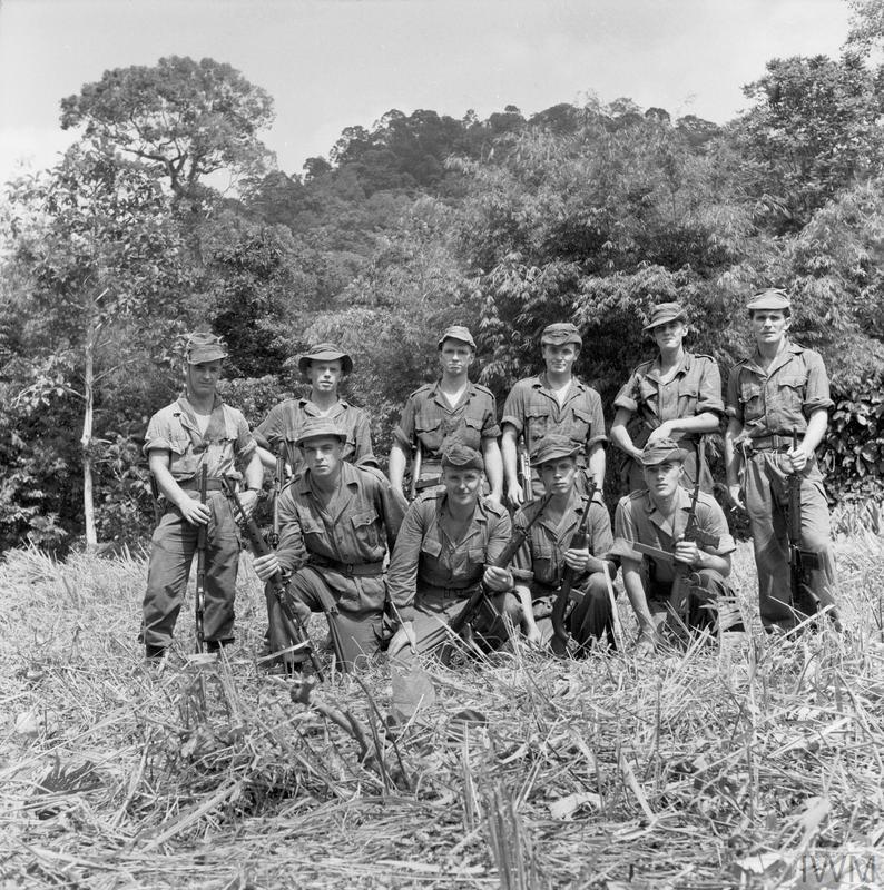 Commonwealth forces in action