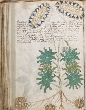 Complex astrological diagrams in the manuscript